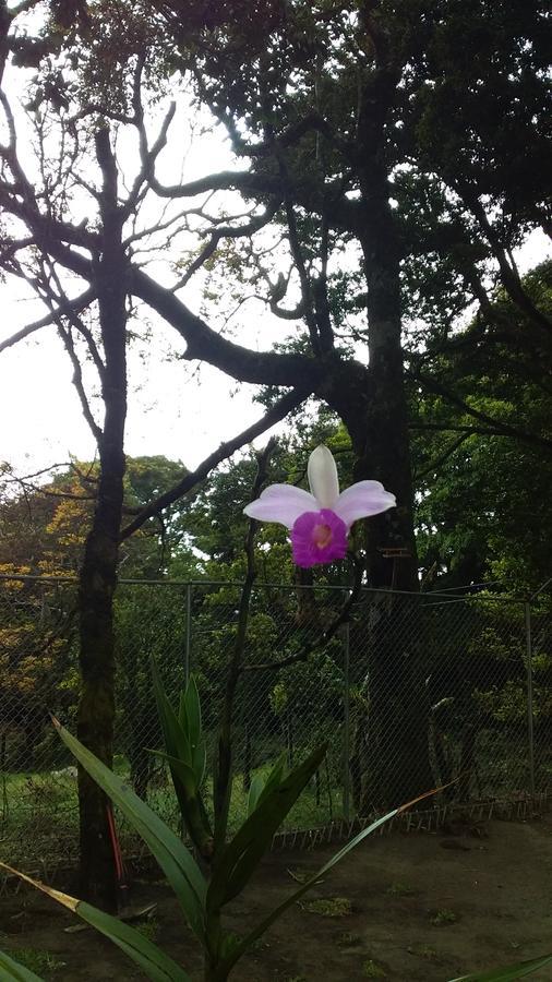 Nature House Monteverde Exterior photo